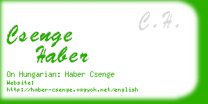 csenge haber business card